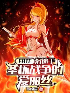 fate爱丽丝